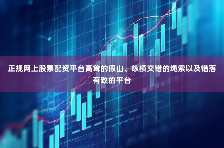 正规网上股票配资平台高耸的假山、纵横交错的绳索以及错落有致的平台
